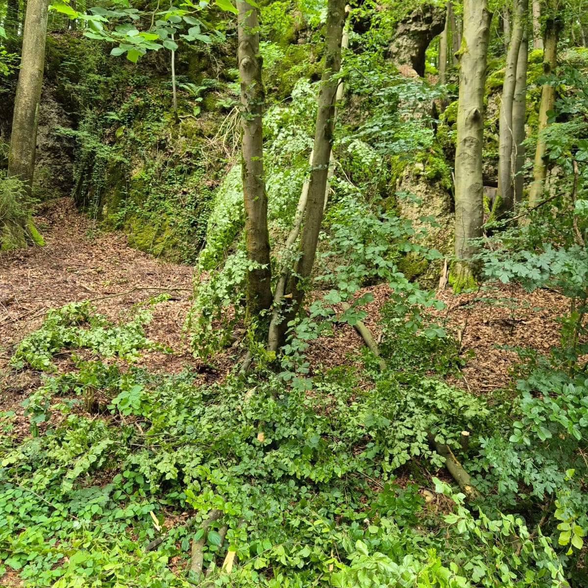 Technische Hilfeleistung Technische Hilfeleistung